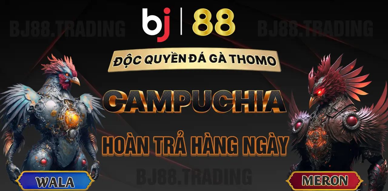 BJ88 Độc Quyền Đá Gà Thomo Campuchia