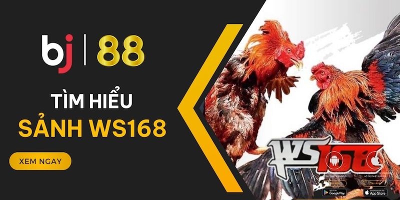 Giới thiệu ưu điểm nổi bật sảnh WS168