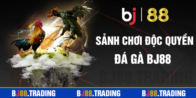 Sảnh đá gà BJ88 độc quyền