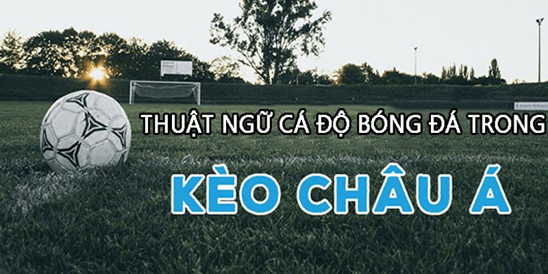 Một số thuật ngữ cá độ bóng đá Handicap cơ bản